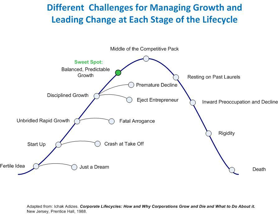 The Business Maturity Lifecycle